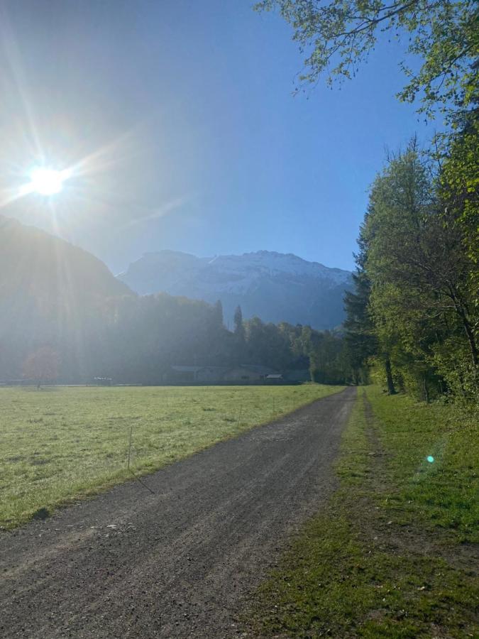 Appartement Rez-De-Chaussee, Cosy T3 4 A 6 Pers Avec Piscines Interieure & Exterieure A Samoens En Haute-Savoie ภายนอก รูปภาพ